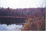 The lake along the trail.  Clik the thumbnail to enlarge picture.