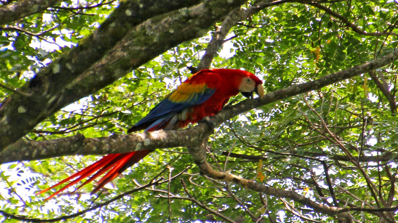 Photos from Costa Rica