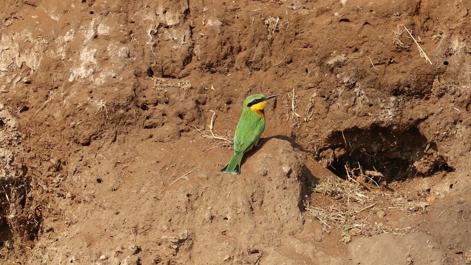 Chobe National Park, Botswana