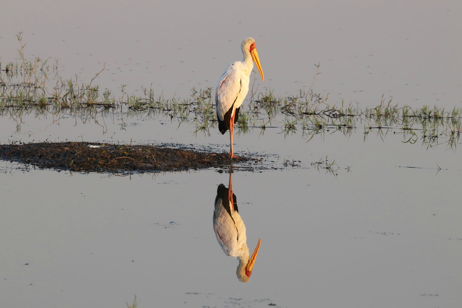 Chobe River, Chobe National Park