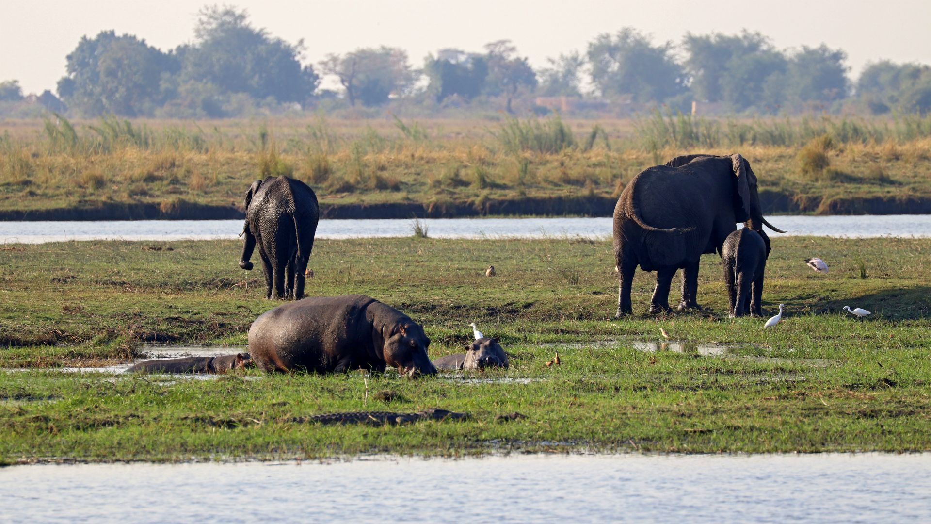 Chobe National Park