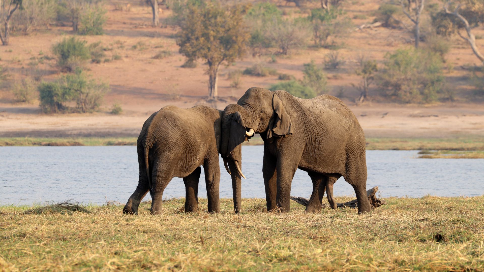 Chobe National Park