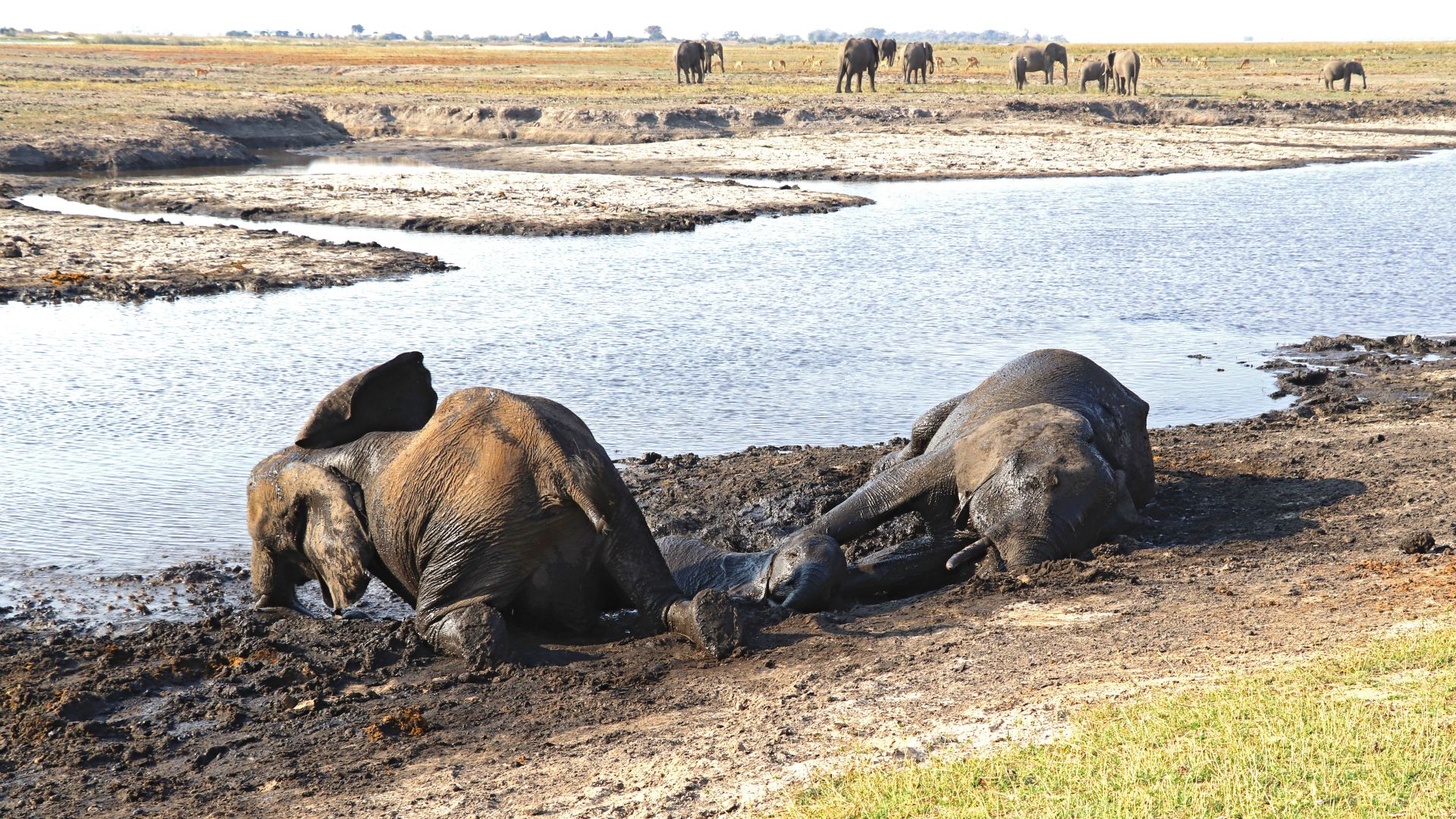 Chobe National Park
