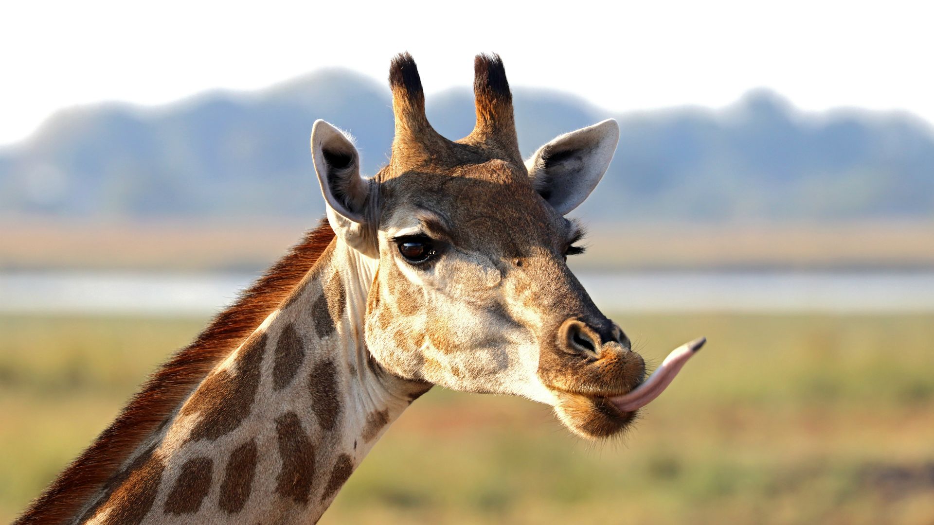 Chobe National Park