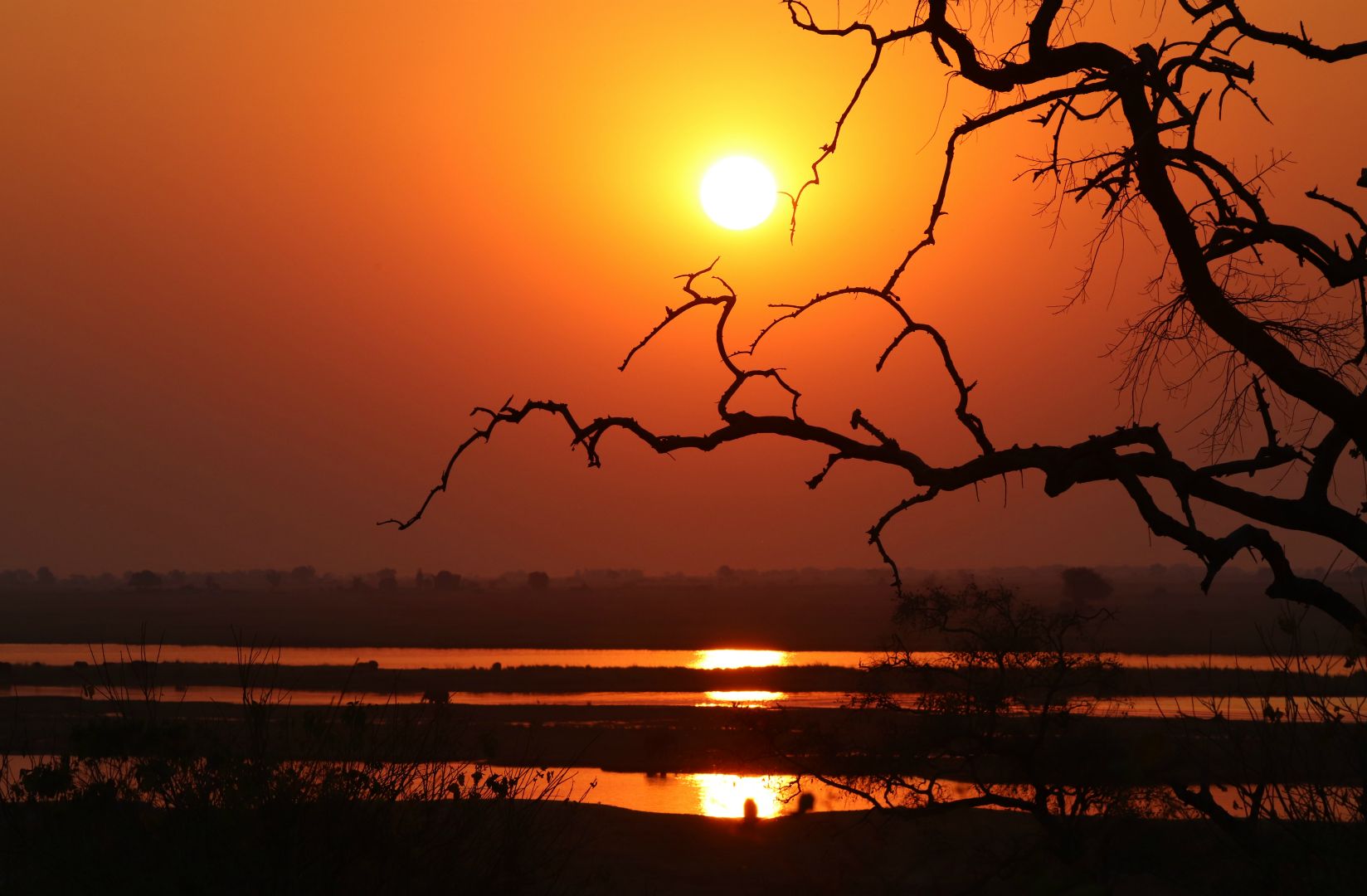 Chobe National Park, Botswana
