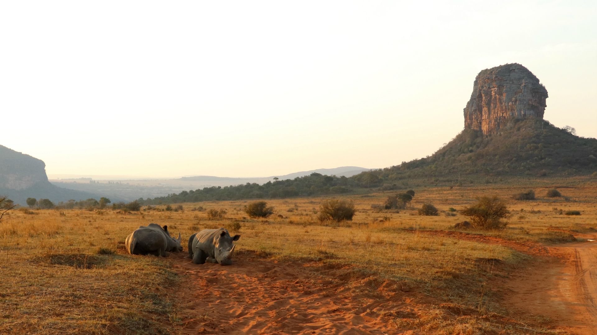 Entabeni Safari Conservancy, South Africa