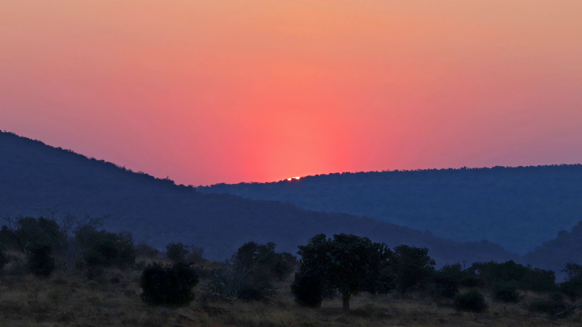 Entabeni Safari Conservancy, South Africa