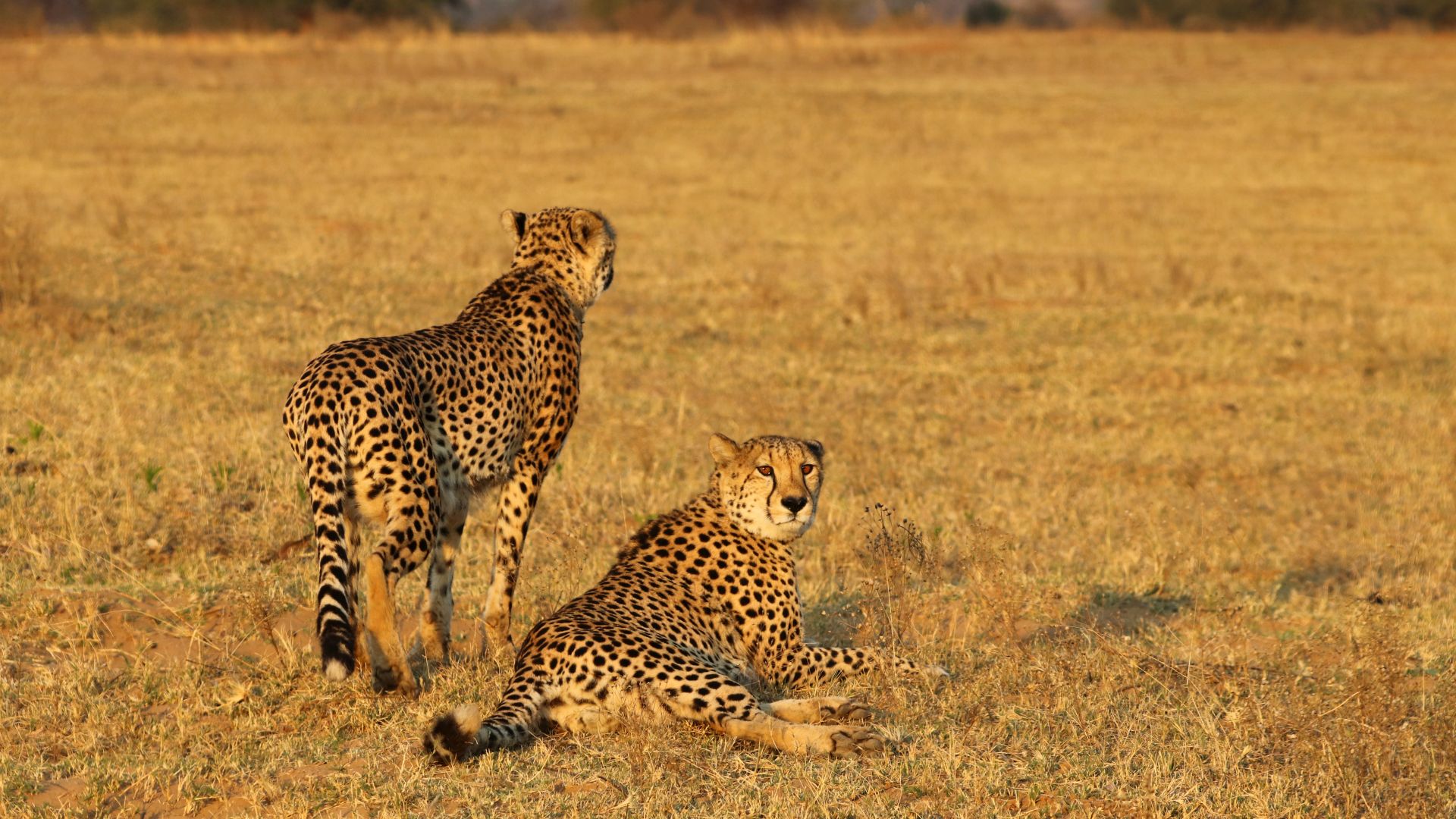 Enabeni Safari Conservancy