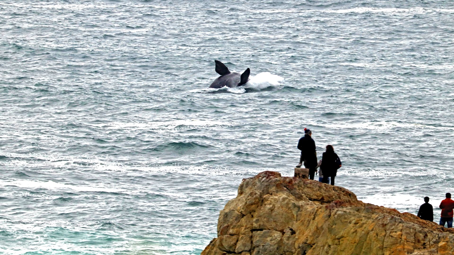 Gearing's Point, Hermanus, South Africa