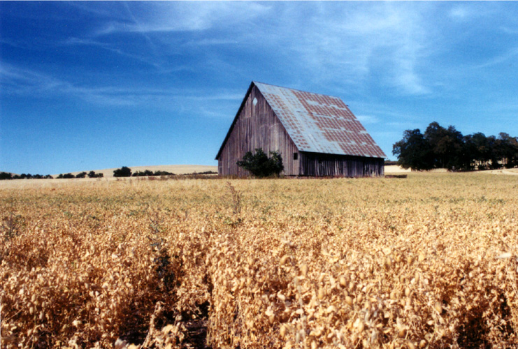 09-Farm East of Walla Walla