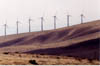 11-294 Foot Windmills West of Walla Walla