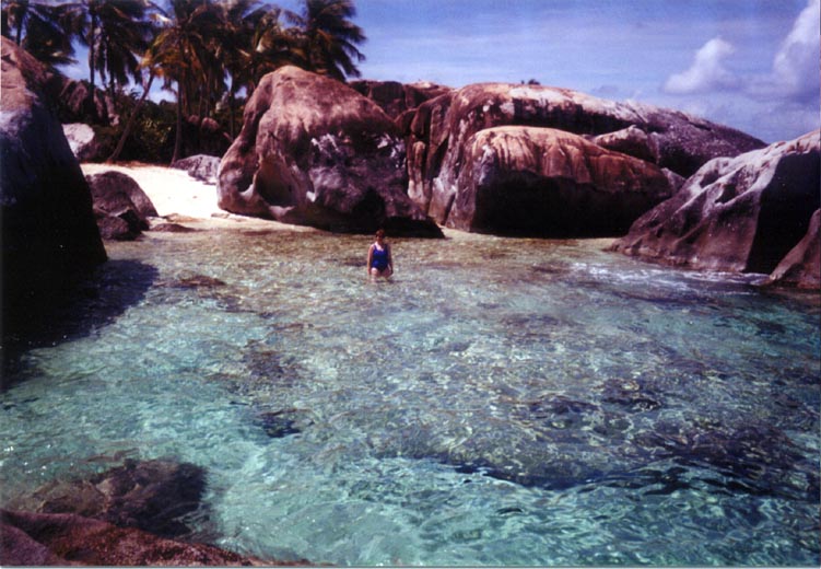 P60702_SpringBayClearWater