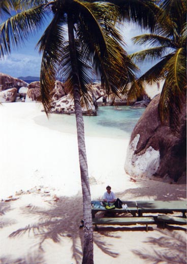 P60702_SpringBayPicnicArea